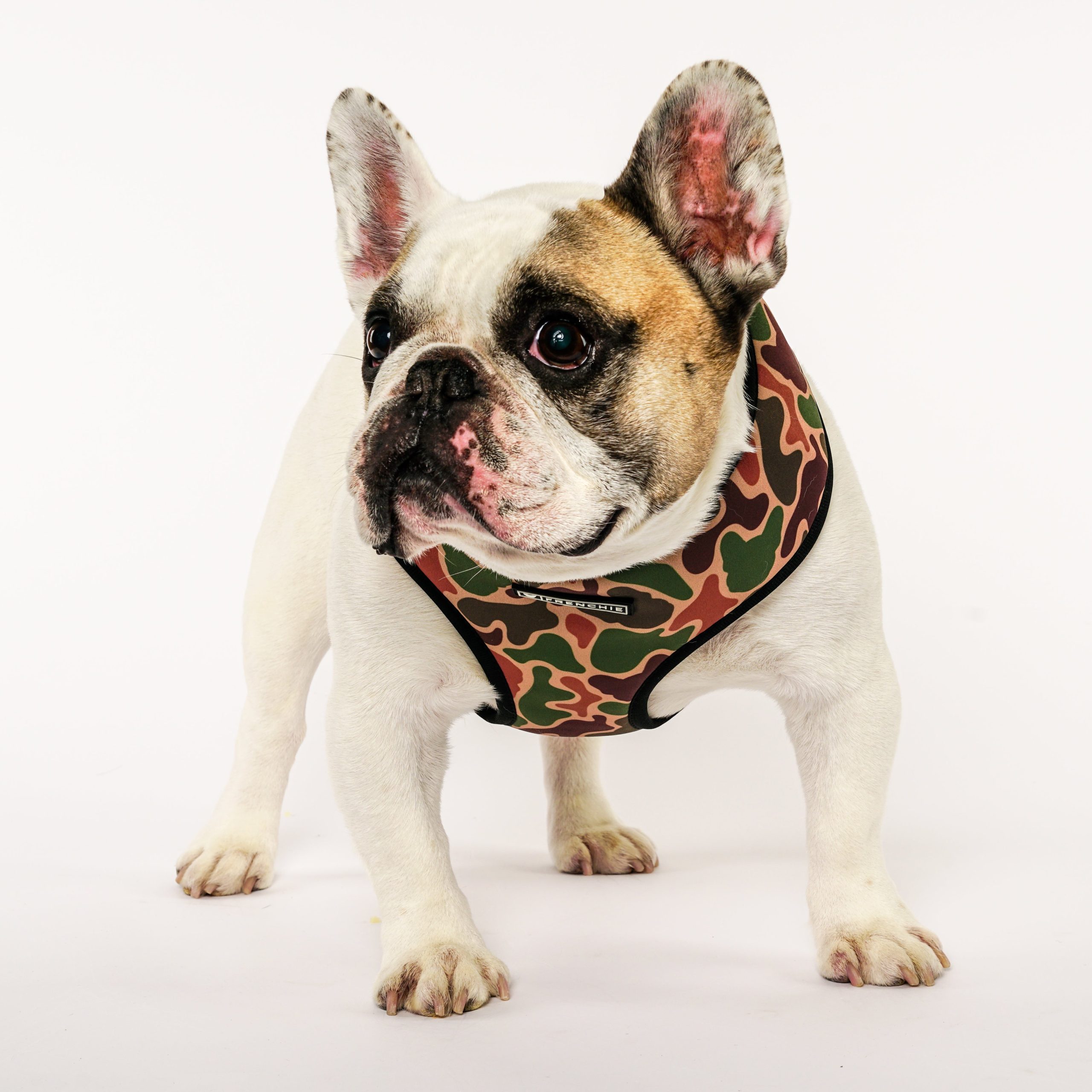 Frenchie Duo Reversible Harness - Duck Hunter - Image 3