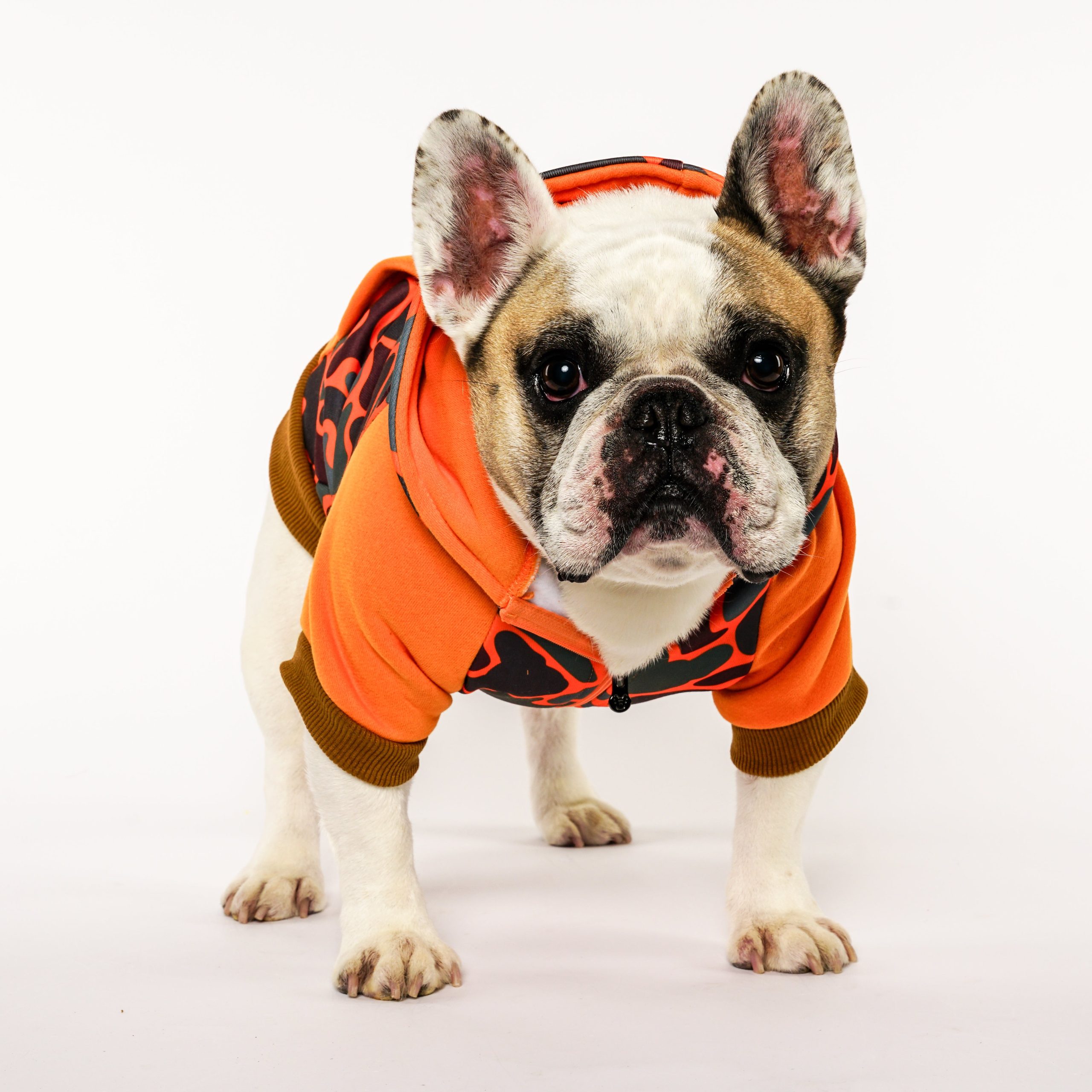 Frenchie Dog Hoodie - Duck Hunter - Image 2