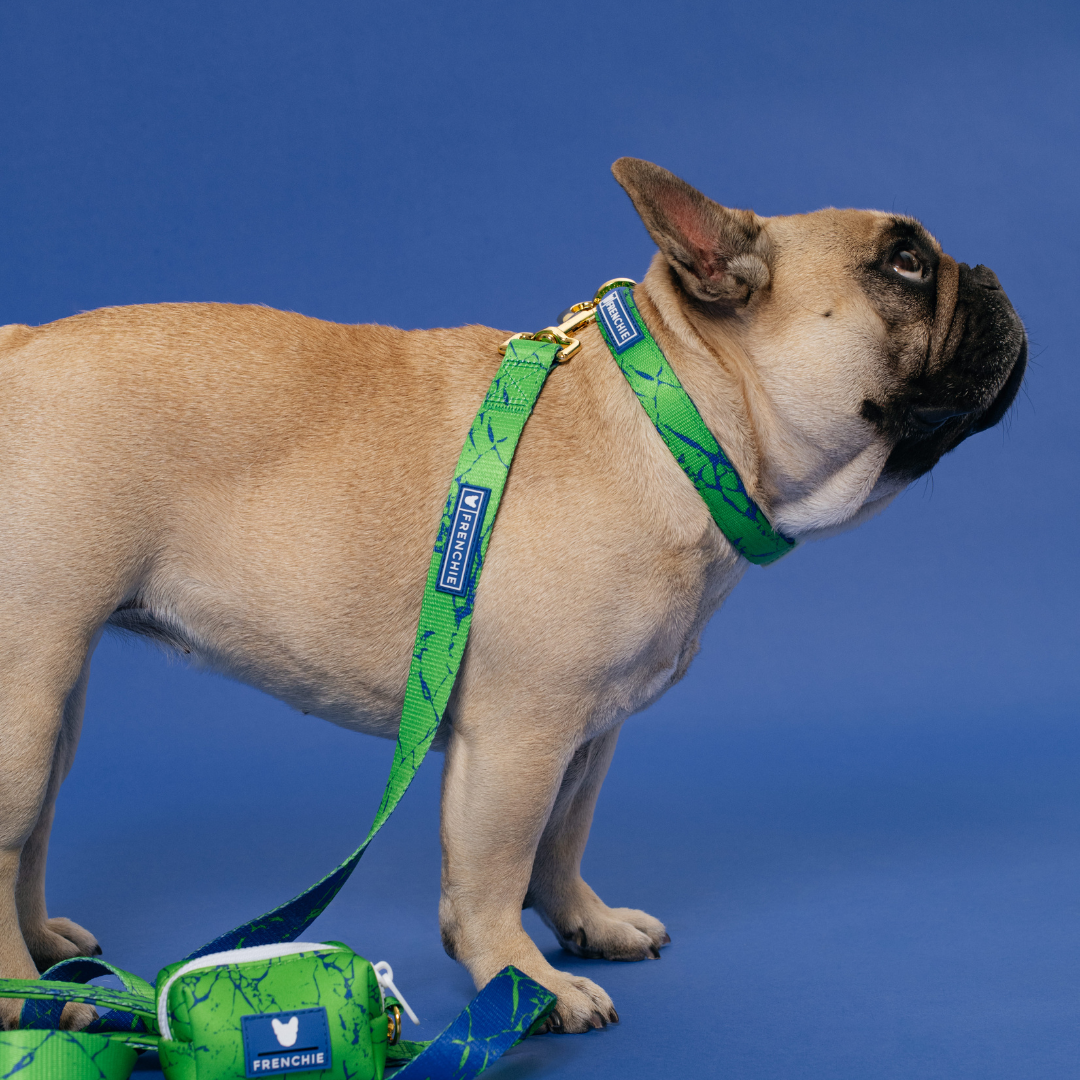 Frenchie Comfort Collar - Green Marble - Image 3