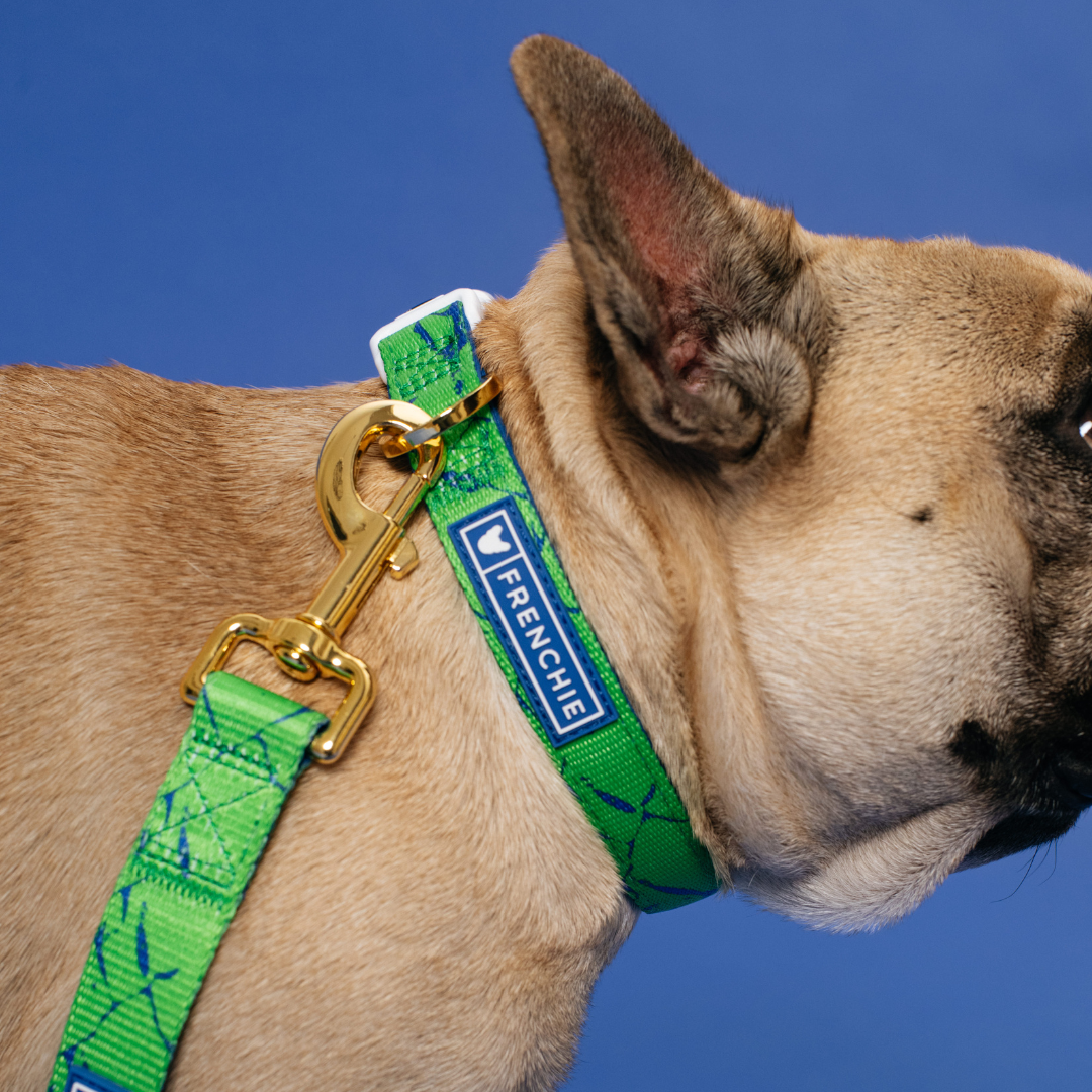 Frenchie Comfort Collar - Green Marble - Image 2