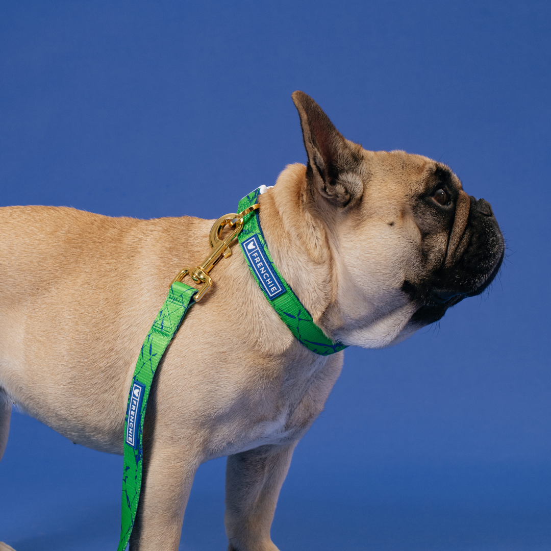 Frenchie Comfort Collar - Green Marble - Image 4