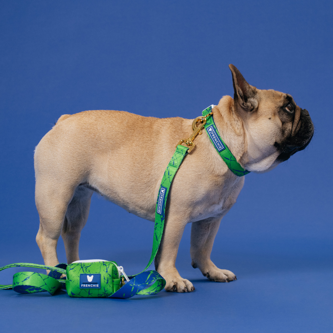 Frenchie Comfort Collar - Green Marble - Image 5