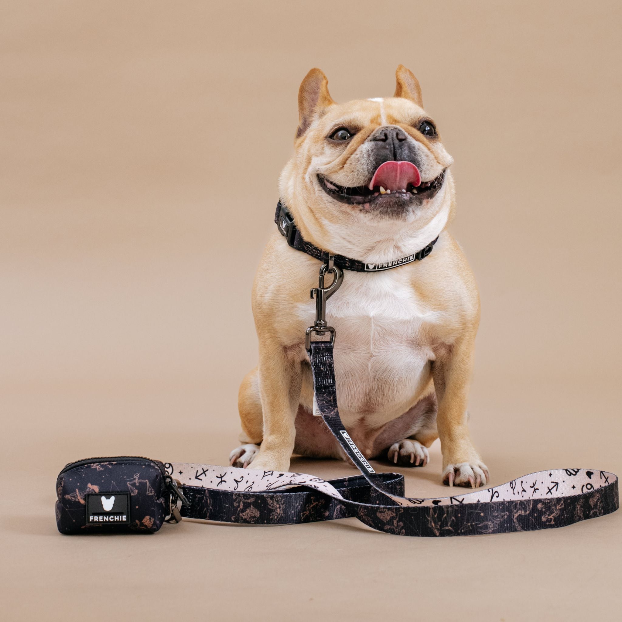 Frenchie Comfort Collar - Horoscope - Image 2
