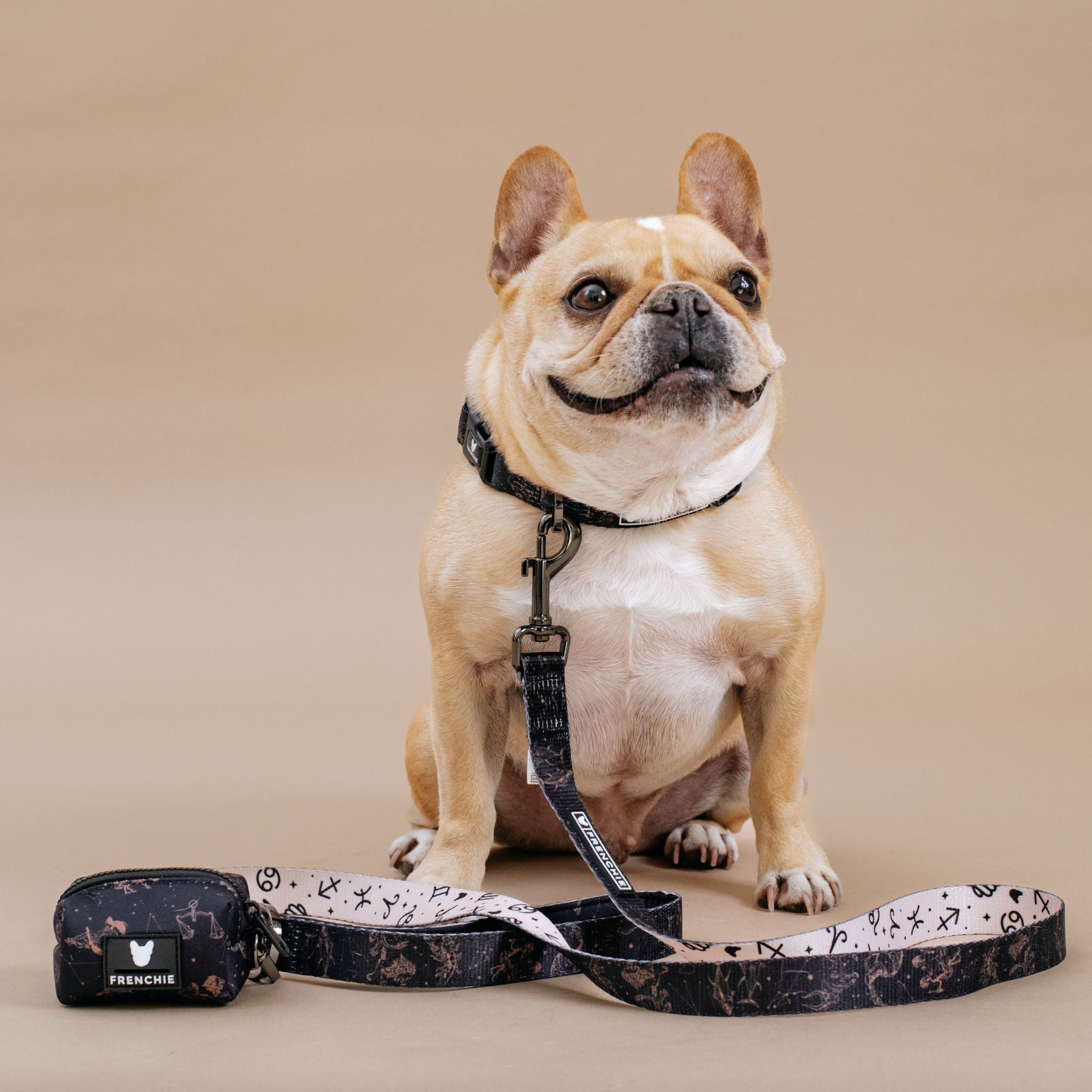 Frenchie Comfort Collar - Horoscope - Image 4