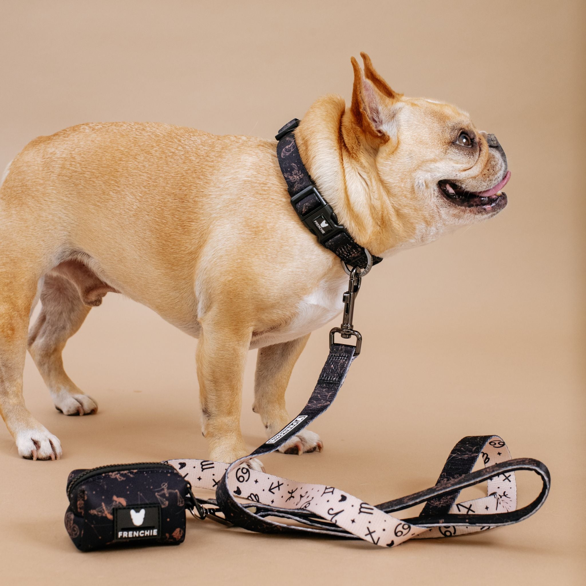 Frenchie Comfort Collar - Horoscope - Image 5