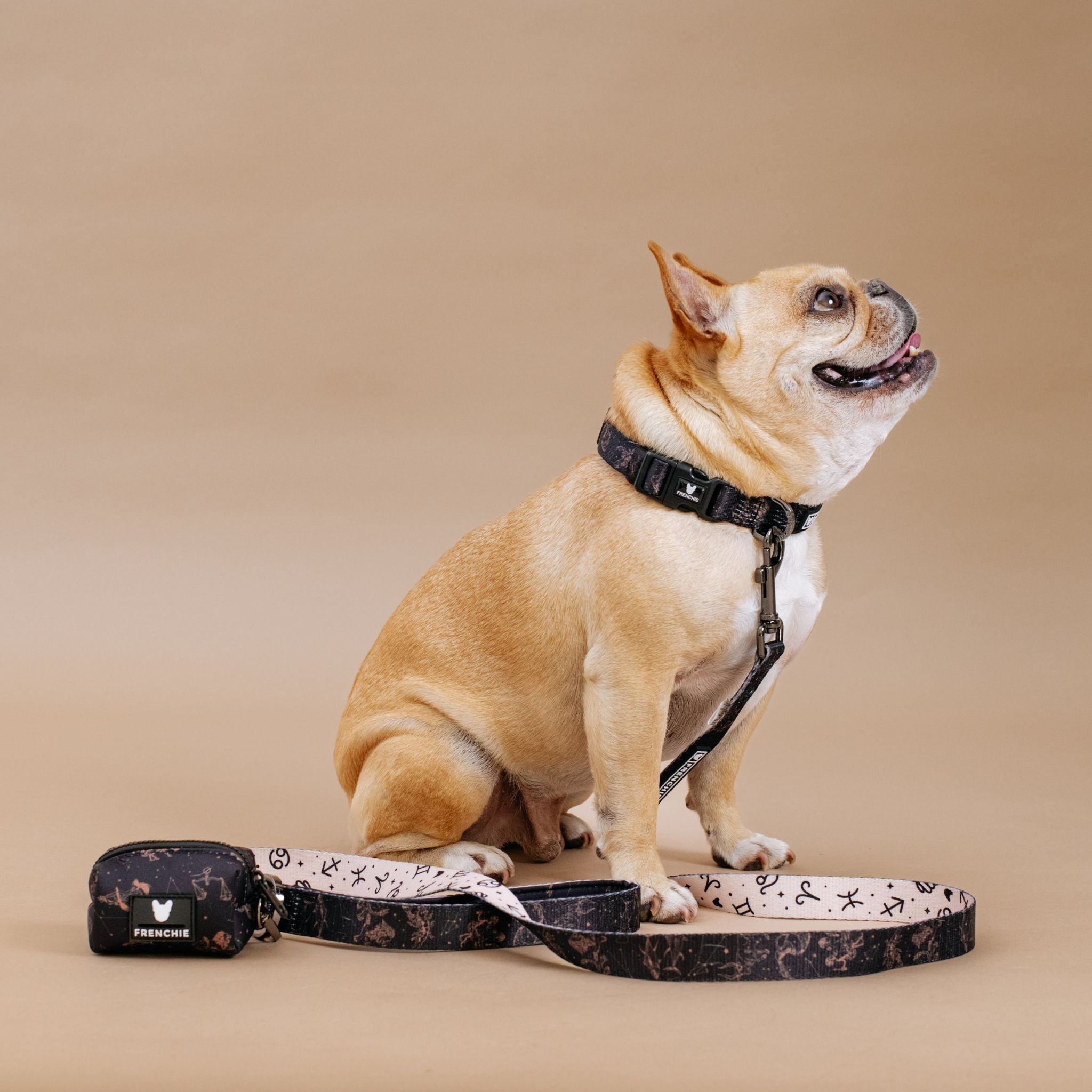 Frenchie Comfort Collar - Horoscope - Image 3