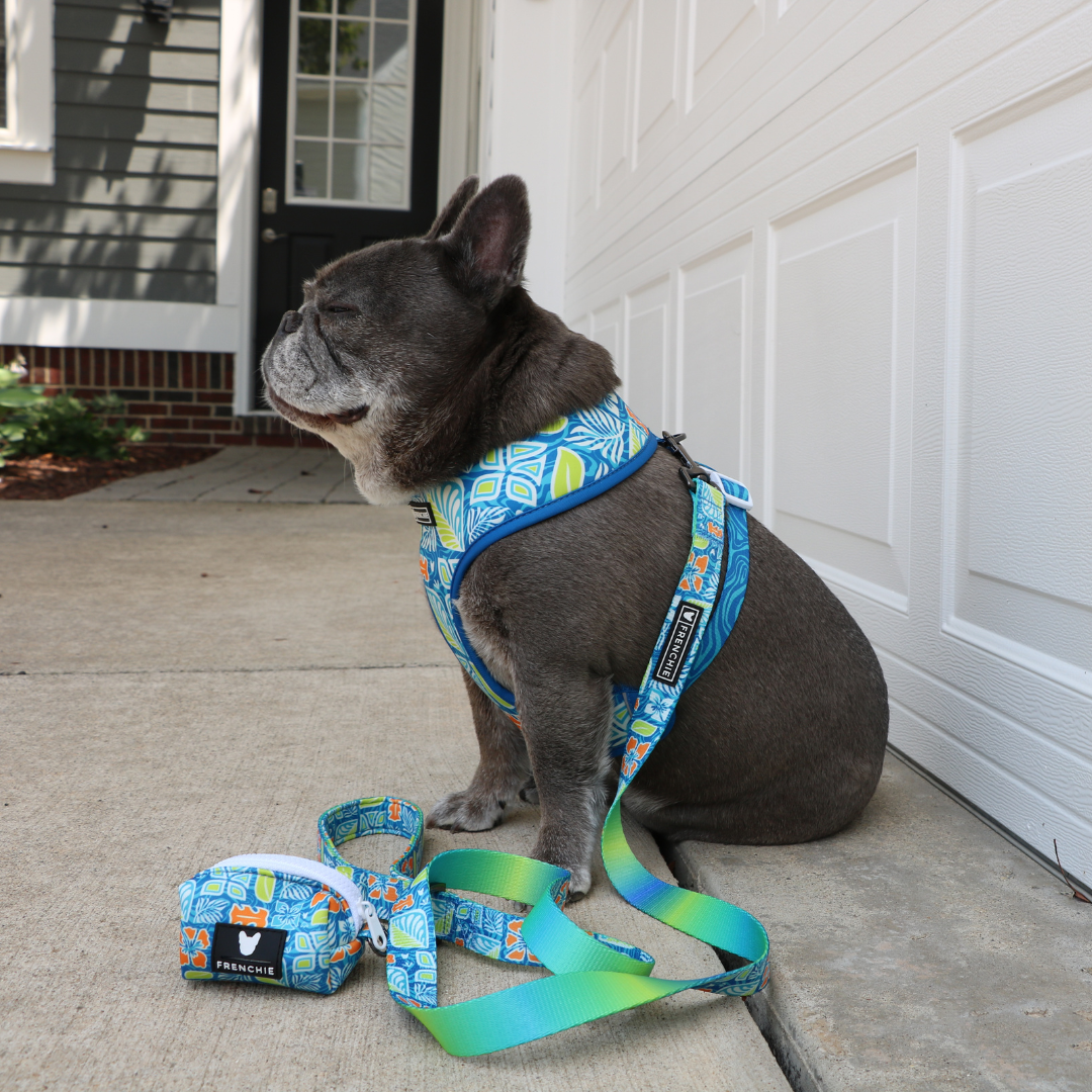 Frenchie Poo Bag Holder - Waikiki - Image 2