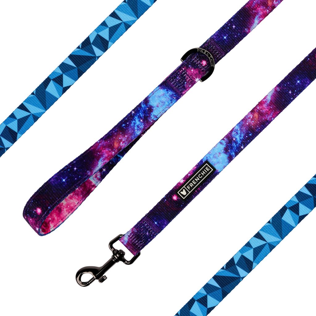 Frenchie Comfort Leash - Galaxy