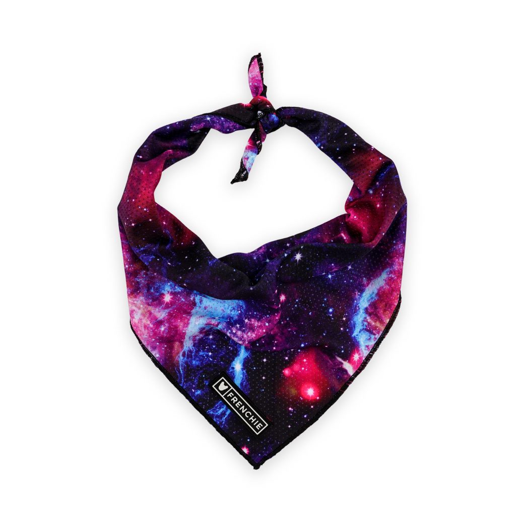 Frenchie Cooling Bandana - Galaxy