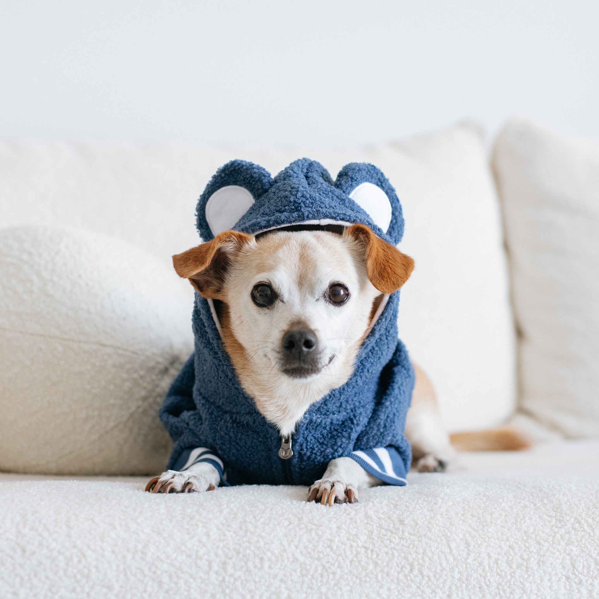 Frenchie Dog Hoodie - Blue Teddy - Image 2