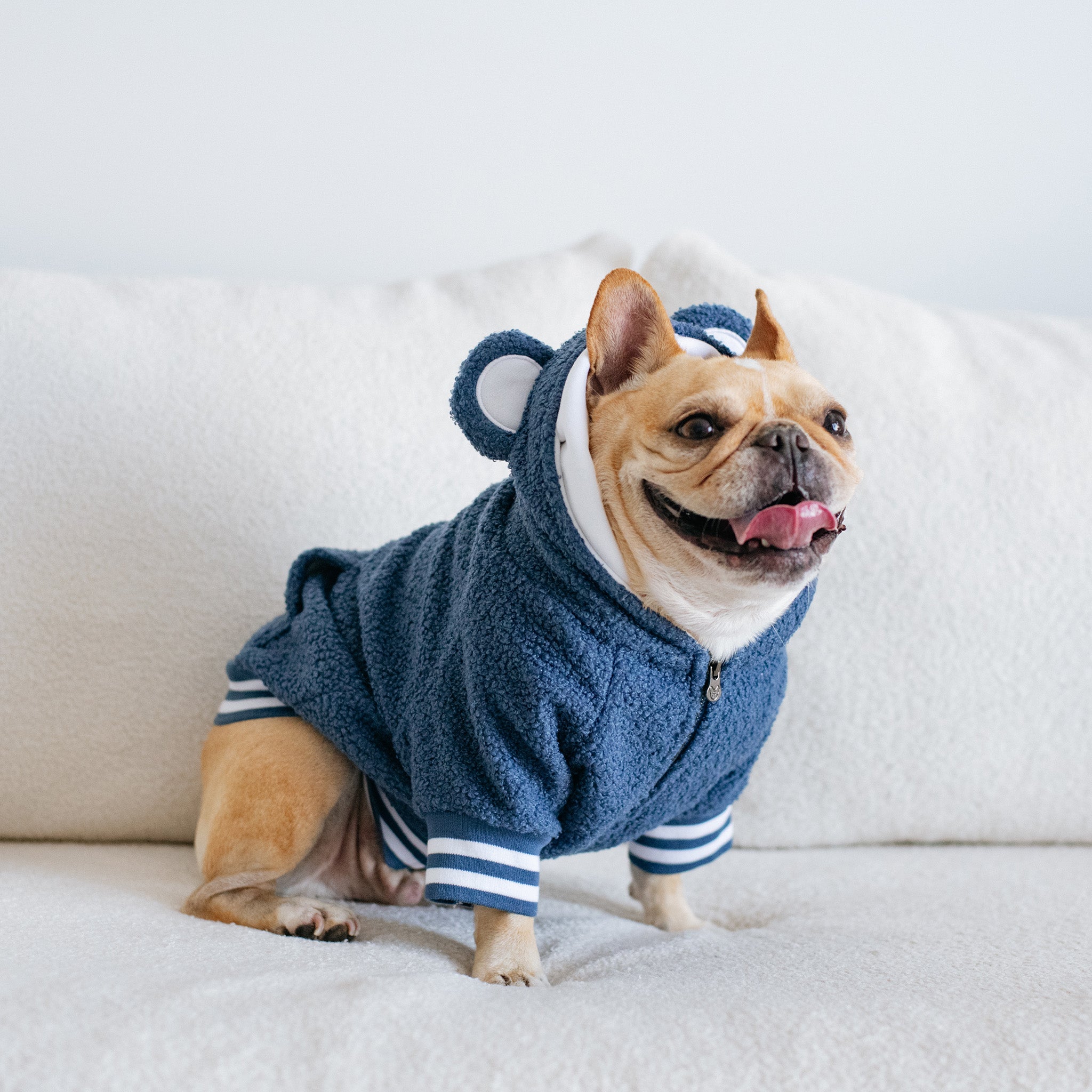 Frenchie Dog Hoodie - Blue Teddy - Image 8