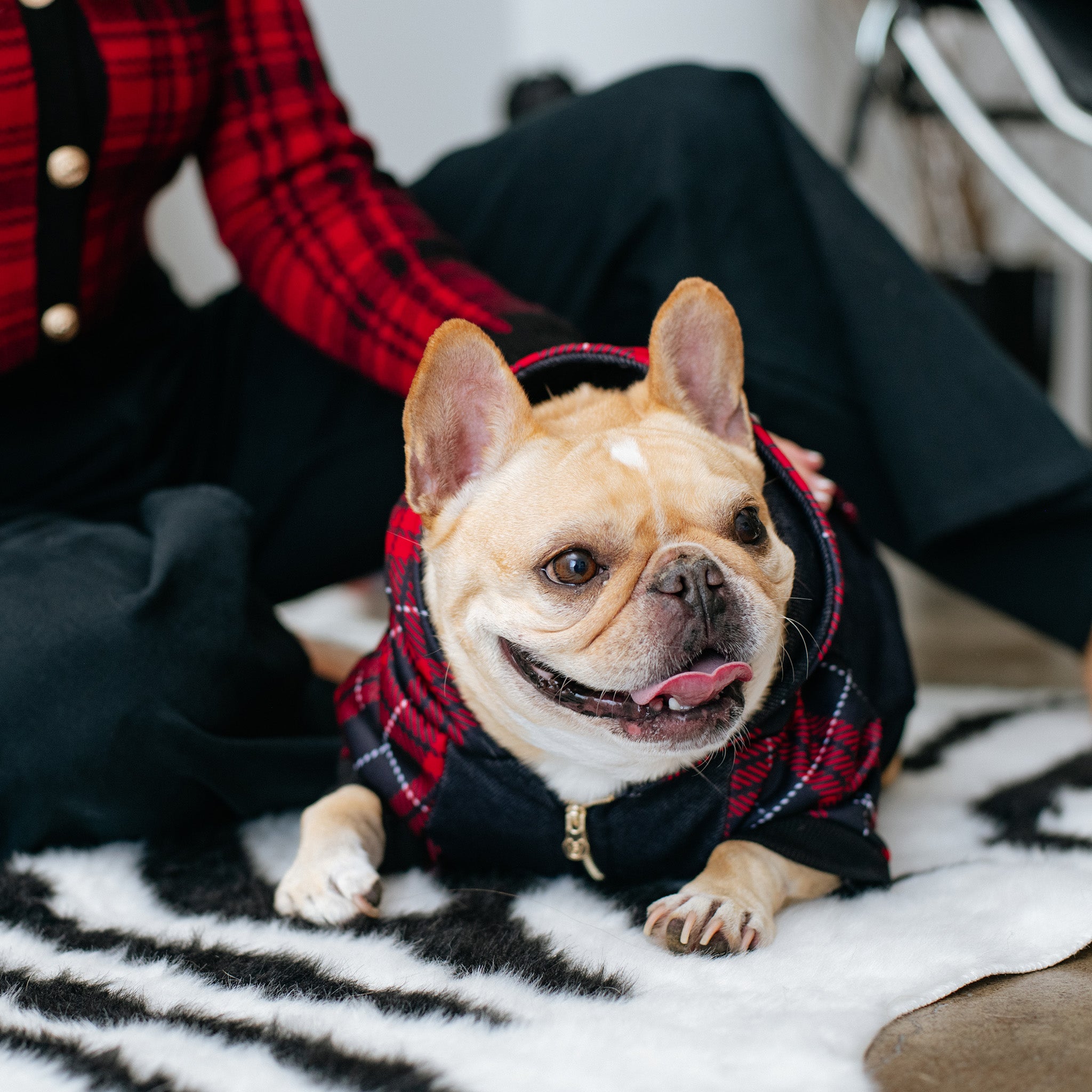 Frenchie Dog Hoodie - Red Tartan - Image 2