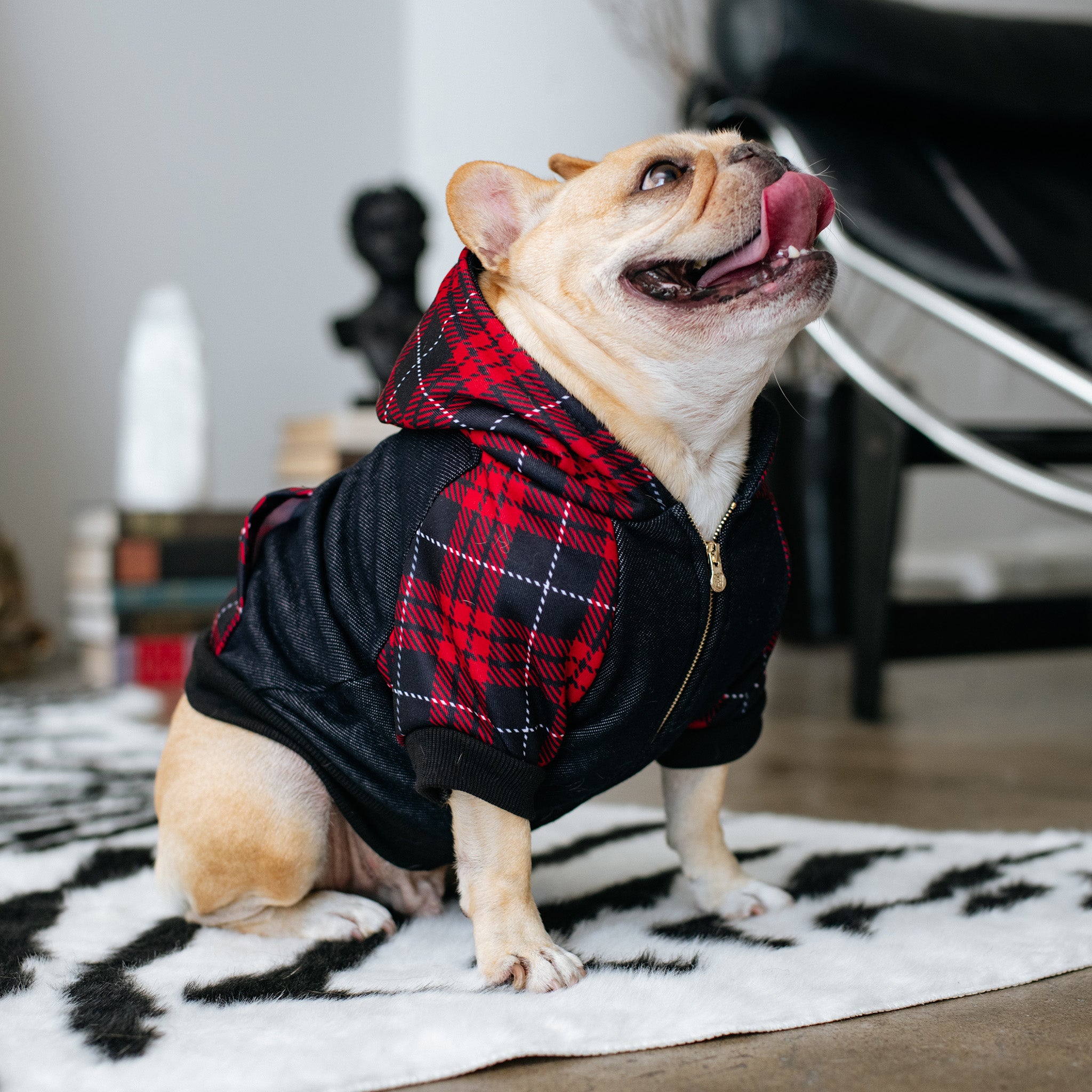 Frenchie Dog Hoodie - Red Tartan - Image 5
