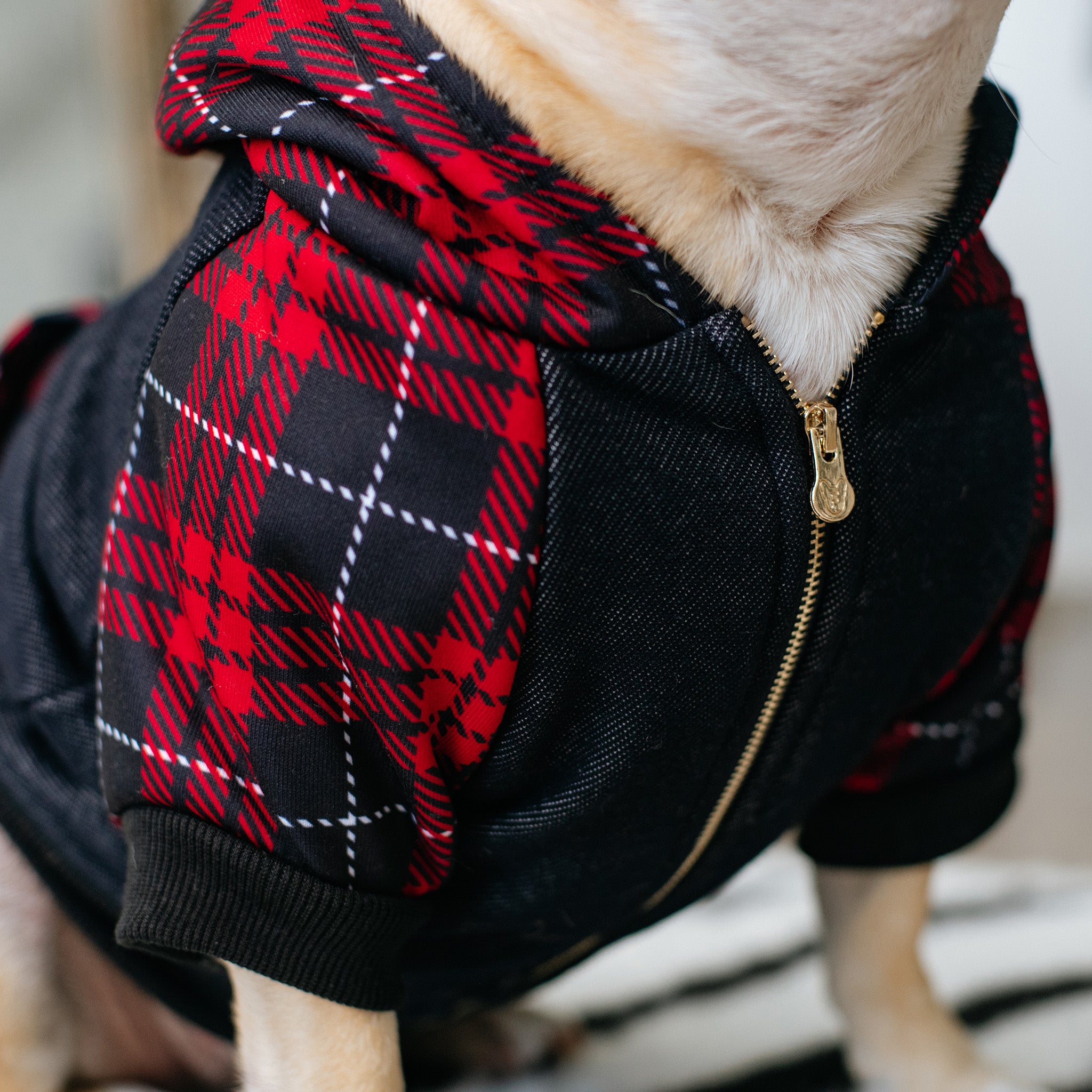 Frenchie Dog Hoodie - Red Tartan - Image 6