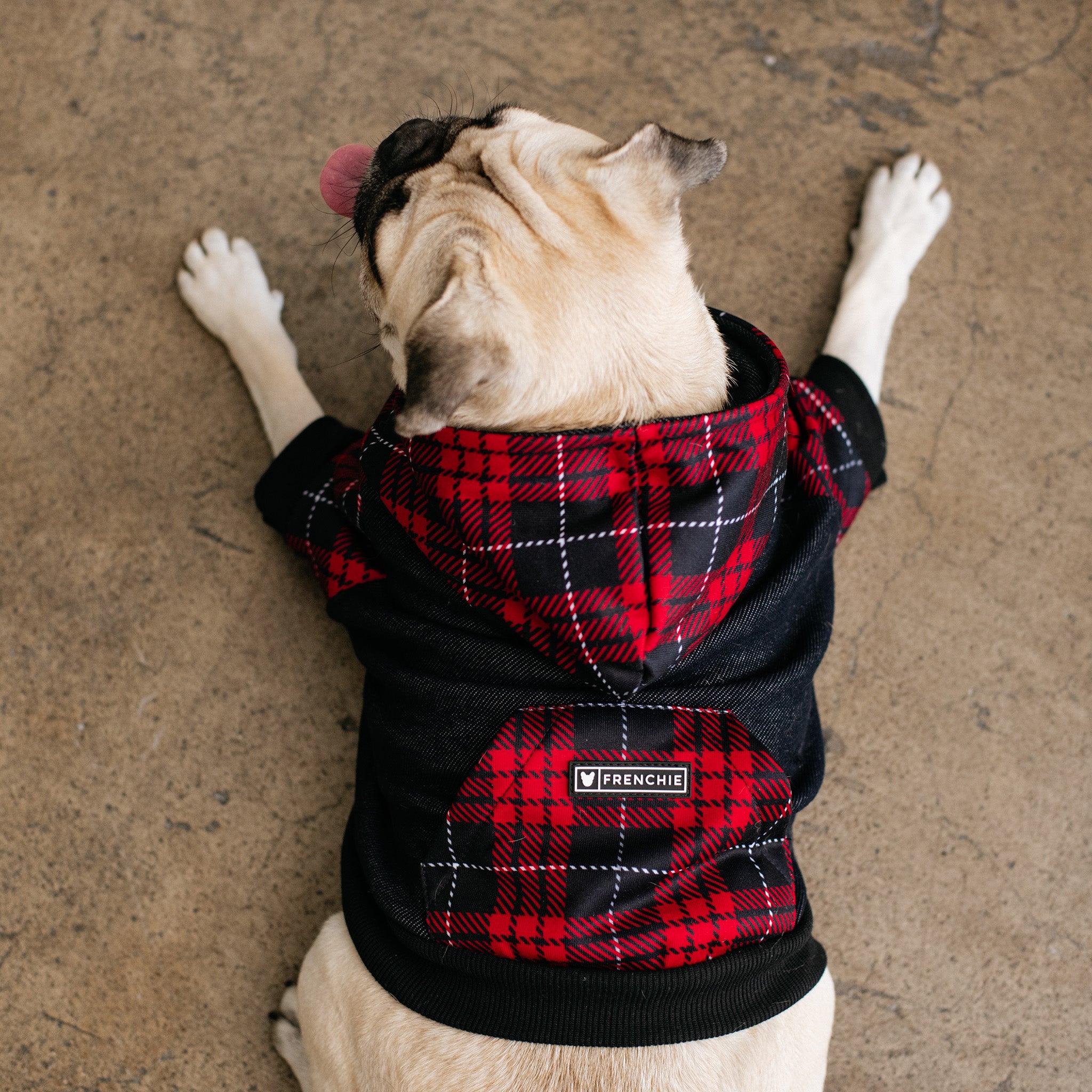Frenchie Dog Hoodie - Red Tartan - Image 7