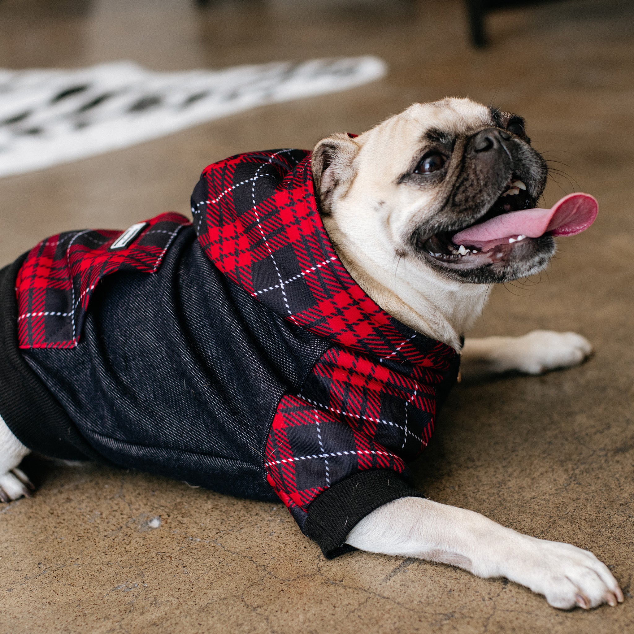 Frenchie Dog Hoodie - Red Tartan - Image 8