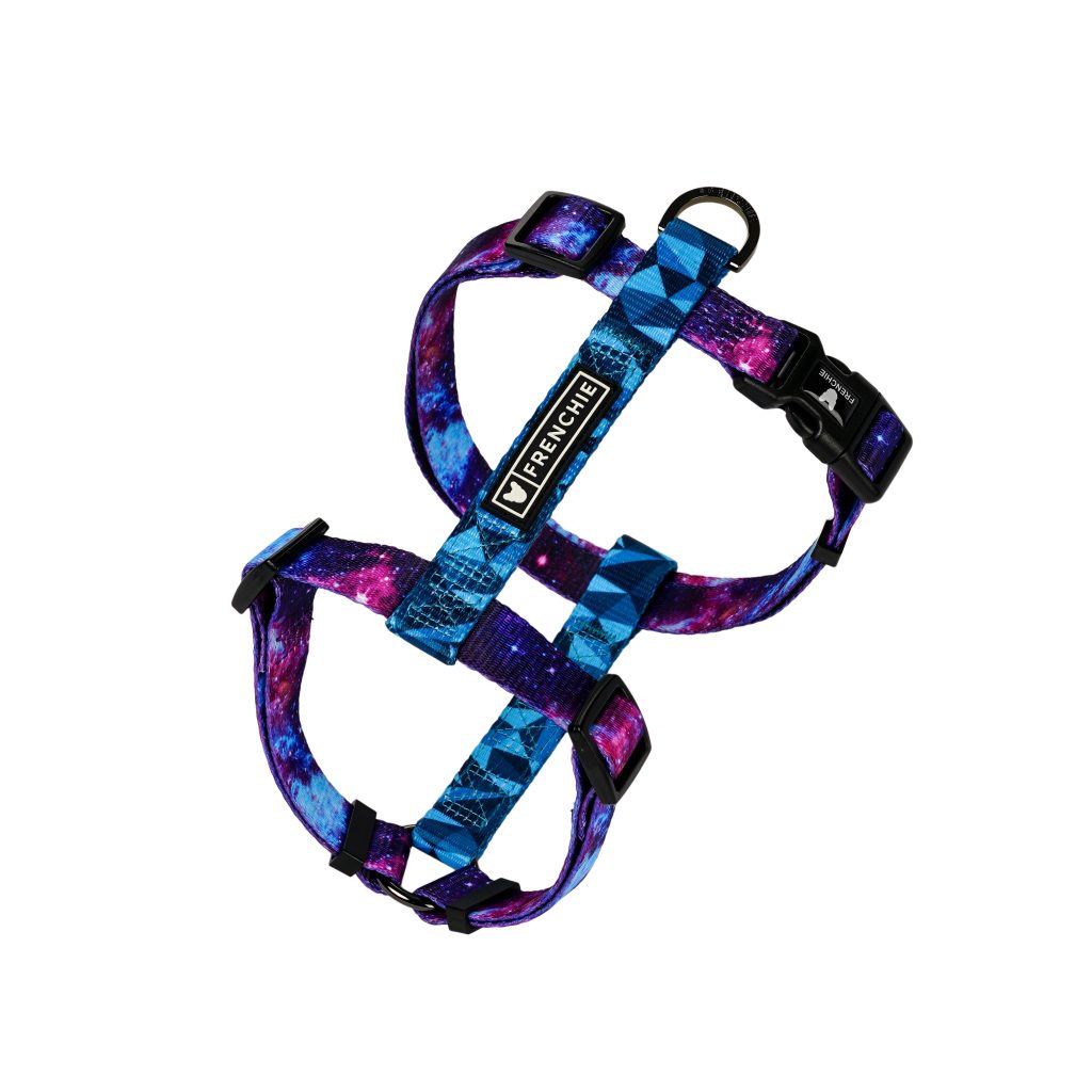 Frenchie Strap Harness - Galaxy